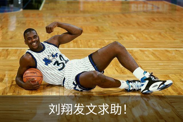 刘翔发文求助！